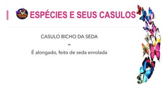 ESPÉCIES E SEUS CASULOS
CASULO BICHO DA SEDA
=
É alongado, feito de seda enrolada
 