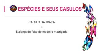 ESPÉCIES E SEUS CASULOS
CASULO DA TRAÇA
=
É alongado feito de madeira mastigada
 