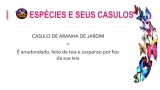 ESPÉCIES E SEUS CASULOS
CASULO DE ARANHA DE JARDIM
=
É arredondado, feito de teia e suspenso por fios
da sua teia
 