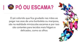 PÓ OU ESCAMA?
O pó colorido que fica grudado nas mãos ao
pegar nas asas de uma borboleta ou mariposa,
são na realidade minúsculas escamas e por isso
são cortantes para tecidos mais frágeis e
delicados, como os olhos
 