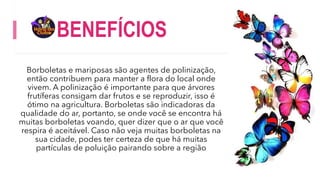 BENEFÍCIOS
Borboletas e mariposas são agentes de polinização,
então contribuem para manter a flora do local onde
vivem. A polinização é importante para que árvores
frutíferas consigam dar frutos e se reproduzir, isso é
ótimo na agricultura. Borboletas são indicadoras da
qualidade do ar, portanto, se onde você se encontra há
muitas borboletas voando, quer dizer que o ar que você
respira é aceitável. Caso não veja muitas borboletas na
sua cidade, podes ter certeza de que há muitas
partículas de poluição pairando sobre a região
 