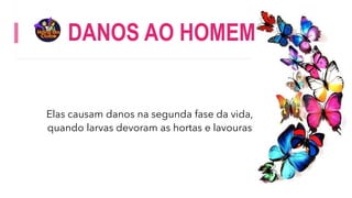 DANOS AO HOMEM
Elas causam danos na segunda fase da vida,
quando larvas devoram as hortas e lavouras
 