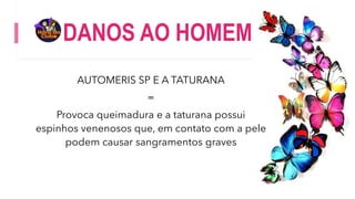 DANOS AO HOMEM
AUTOMERIS SP E A TATURANA
=
Provoca queimadura e a taturana possui
espinhos venenosos que, em contato com a pele
podem causar sangramentos graves
 