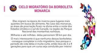 CICLO MIGRATÓRIO DA BORBOLETA
MONARCA
Elas migram na época do inverno para lugares mais
quentes em busca de alimento. No caso das monarcas,
as áreas de procriação ficam na divisa entre o norte dos
Estados Unidos e o sul do Canadá, na região do Parque
Nacional das montanhas rochosas.
Milhares e até milhões delas percorrem 50 km por dia.
O mais interessante é que nenhuma dessas borboletas
consegue completar o ciclo migratório. Isso porque o
período de vida delas é muito curto, então leva de 3 a 4
gerações para que um curso seja concluído por inteiro!
 