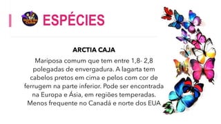 ESPÉCIES
ARCTIA CAJA
Mariposa comum que tem entre 1,8- 2,8
polegadas de envergadura. A lagarta tem
cabelos pretos em cima e pelos com cor de
ferrugem na parte inferior. Pode ser encontrada
na Europa e Ásia, em regiões temperadas.
Menos frequente no Canadá e norte dos EUA
 