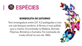 ESPÉCIES
BORBOLETA DE SATURNO
Tem envergadura entre 3,9- 4,3 polegadas e vive
em sub-bosque sombrio. A fêmea é mais pálida
que o macho. Encontrada na Malásia, Borneti,
Filipinas, Birmânia e Sumatra. Foi nomeada de
modo oficial no ano de 1865.
 