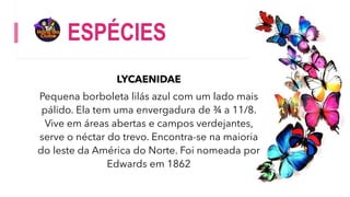 ESPÉCIES
LYCAENIDAE
Pequena borboleta lilás azul com um lado mais
pálido. Ela tem uma envergadura de ¾ a 11/8.
Vive em áreas abertas e campos verdejantes,
serve o néctar do trevo. Encontra-se na maioria
do leste da América do Norte. Foi nomeada por
Edwards em 1862
 