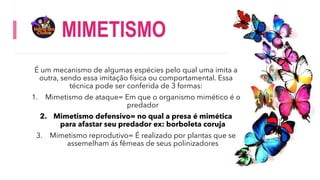 MIMETISMO
É um mecanismo de algumas espécies pelo qual uma imita a
outra, sendo essa imitação física ou comportamental. Essa
técnica pode ser conferida de 3 formas:
1. Mimetismo de ataque= Em que o organismo mimético é o
predador
2. Mimetismo defensivo= no qual a presa é mimética
para afastar seu predador ex: borboleta coruja
3. Mimetismo reprodutivo= É realizado por plantas que se
assemelham ás fêmeas de seus polinizadores
 
