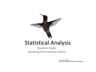 01 statistical-analysis-1221114089218264-9