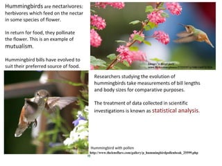 01 statistical-analysis-1221114089218264-9