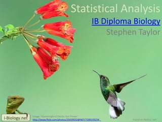 Statistical Analysis
IB Diploma Biology
Stephen Taylor
Image: 'Hummingbird Checks Out Flower'
http://www.flickr.com/photos/25659032@N07/7200193254 Found on flickrcc .net
 