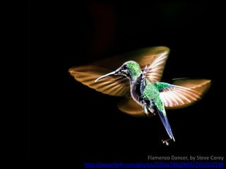 Interesting Study: Do “Better” Lecturers Cause More Learning?
Find out more here: http://priceonomics.com/is-this-why-ted-talks-seem-so-convincing/
Students watched a one-minute video of a lecture. In one video, the lecturer was
fluent and engaging. In the other video, the lecturer was less fluent.
They predicted how much they would learn on the topic
(genetics) and this was compared to their actual score.
(Error bars = standard deviation).
Is there a significant difference in the actual learning?
n=21 n=21
 