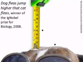 Dog fleas jump
higher that cat
fleas, winner of
the IgNobel
prize for
Biology, 2008.
http://www.youtube.com/watch?v=fJEZg4QN760
 