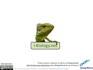 i-Biology.net
This is a Creative Commons presentation. It may be linked and embedded but not sold or re-hosted.
Please consider a donation to charity via Biology4Good.
Click here for more information about Biology4Good charity donations.
@IBiologyStephen
 