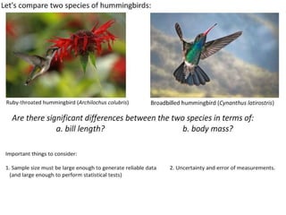 Researchers studying comparative anatomy collect
data on bill-length in two species of hummingbirds:
Archilochus colubris
(red-throated hummingbird) and
Cynanthus latirostris (broadbilled hummingbird).
To do this, they need to collect sufficient
relevant, reliable data so they can test
the Null hypothesis (H0) that:
“there is no significant difference
in bill length between the two species.”
Photo: Archilochus colubris (male), wikimedia commons, by Joe Schneid
 