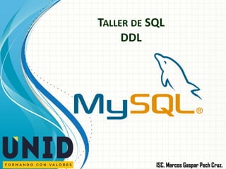 TALLER DE SQL
DDL
ISC. Marcos Gaspar Pech Cruz.
 