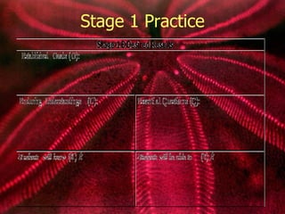 Stage 1 Practice 