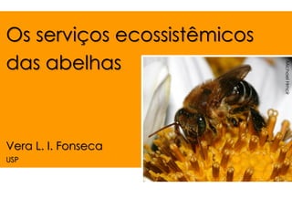 Os serviços ecossistêmicos das abelhas 
Vera L. I. Fonseca 
USP 
Michael Hrncir  