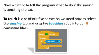 Now we want to tell the program what to do if the mouse
is touching the cat.
To touch is one of our five senses so we need now to select
the sensing tab and drag the touching code into our if
command block
 