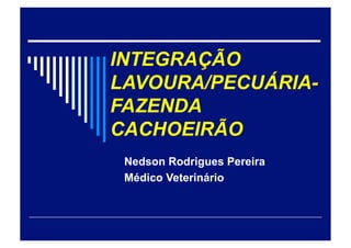INTEGRAÇÃO
LAVOURA/PECUÁRIA-
FAZENDA
CACHOEIRÃO
Nedson Rodrigues Pereira
Médico Veterinário
 