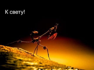 К свету!