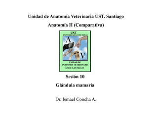 Sesión 10
Glándula mamaria
Unidad de Anatomía Veterinaria UST. Santiago
Anatomía II (Comparativa)
Dr. Ismael Concha A.
 