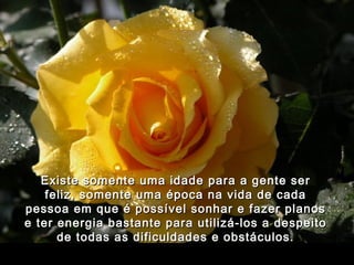 Existe somente uma idade para a gente ser feliz, somente uma época na vida de cada pessoa em que é possível sonhar e fazer planos e ter energia bastante para utilizá-los a despeito de todas as dificuldades e obstáculos. 