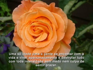 Uma só idade para a gente se encantar com a vida e viver apaixonadamente e desfrutar tudo com toda intensidade sem medo nem culpa de sentir prazer. 