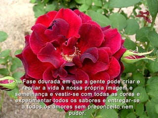 ... Fase dourada em que a gente pode criar e recriar a vida à nossa própria imagem e semelhança e vestir-se com todas as cores e experimentar todos os sabores e entregar-se a todos os amores sem preconceito nem pudor. 