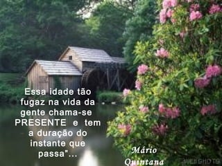 Essa idade tão fugaz na vida da gente chama-se  PRESENTE  e  tem a duração do instante que passa”... Mário Quintana 
