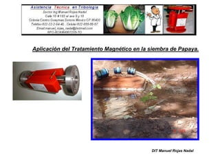 Aplicación del Tratamiento Magnético en la siembra de Papaya.




                                           DIT Manuel Rojas Nadal