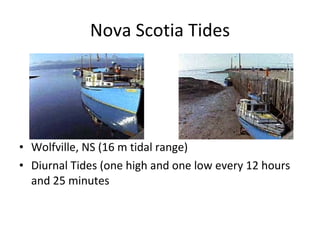 Nova Scotia Tides Wolfville, NS (16 m tidal range) Diurnal Tides (one high and one low every 12 hours and 25 minutes 
