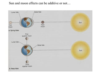 Sun and moon effects can be additive or not… 