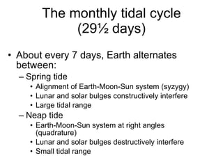 The monthly tidal cycle (29½ days) About every 7 days, Earth alternates between: Spring tide Alignment of Earth-Moon-Sun system (syzygy) Lunar and solar bulges constructively interfere Large tidal range Neap tide Earth-Moon-Sun system at right angles (quadrature) Lunar and solar bulges destructively interfere Small tidal range 