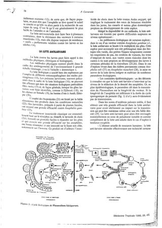 LA LUlTE ANTILARVAIRE
ticide de choix dans la lutte contre Aedes aegypti, qui
implique le traitement des eaux de boissons stockées
dans les jarres, les canaris et autres gîtes domestiques
propices au développement de cette espèce.
Malgré la disponibilité de ces méthodes, la lutte anti-
larvaire est limitée par quatre difficultés majeures au
niveau opérationnel :
- les préférences écologiques de certaines espèces :
dans le cas d'un vecteur comme Anoplieles ganibiae s.l.,
la lutte antilarvaire se heurte à la multiplicité des gîtes. Cette
espèce peut accomplir son site préimaginal dans des bio-
topes très variés, des petites flaques temporaires comme
les empreintes de pas, les ornières de voitures, les trous
d'emprunt de terre, aux vastes zones rizicoles dont les
casiers à riz sont propices au développement des larves 2
certaines périodes de la riziculture (25,26). Dans le cas
d'espèces vivant dans des rizières permanentes commeAizo-
pheles izili (27)ou Anopheles rizouchetì (28), la mise en
œuvre de la lutte devra intégrer et maîtriser de nombreux
paramètres écologiques.
-Les contraintes épidémniologiques: un des déments
à connaître est que la lutte anti-larvaire n'intervient qu'au
niveau de la réduction de la densité des anophèles. Or, au
plan épidémiologique,le paramètre clé dans la .transmis-
sion du Plasrizodi~~i~zest la longévité du vecteur. Si la
longévité de l'anophèle est inférieure 2la durée du cycle
sporogonique du parasite (fig. 1) il n'y aura évidemment
pas de transmission.
Dans les zones d'endémie palustre stable, il faut
obtenir une très grande efficacité dans la lutte antilar-
vaire pour avoir réellement un impact sur la transmis-
sion qui peut être maintenue même avec une très faible den-
sité (29). La lutte anti-larvaire peut alors être envisagée
essentiellementen zone de paludisme instable et comme
complément de la lutte anti-adulte dans le cas d'espèce
tendance exophile.
-L'absence actuelle de ressources humaines : Ia lutte
anti-larvaire nécessite effectivement une technicité certaine
4
CYC1.E DAHS L ' I W m
(SCHI 7.a'Ulll E)
 