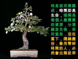 時易逝而事難
成，時間即是
生命，堪稱是
每個人最寶貴
的資源，分清
緩急先後，急
所當急，活在
當下，隨緣盡
份，善用零碎
時間的人，必
然會出類拔萃
 