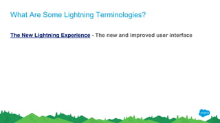 What Are Some Lightning Terminologies?
The New Lightning Experience - The new and improved user interface
 