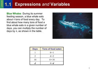 Blue Whales  During its summer feeding season, a blue whale eats about  4  tons of food every day.  To find about how many tons of food a blue whale eats in a given number of days, you can multiply the number of days by  4 , as shown in the table. Expressions  and  Variables 4  •  d d 4  • 10 10 4  • 2 2 4  • 1 1 Tons of food eaten Days 1.1 LESSON 