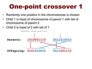 One-point crossover 1
• Randomly one position in the chromosomes is chosen
• Child 1 is head of chromosome of parent 1 with tail of
chromosome of parent 2
• Child 2 is head of 2 with tail of 1
Parents: 1010001110 0011010010
Offspring: 0101010010 0011001110
Randomly chosen position
 