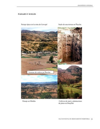 DIAGNÓSTICO INTEGRAL




PAISAJES Y SUELOS




   Paisaje típico en la zona de Carvajal     Suelo de una terraza en Ñucchu




             Terrazas de cultivo en Ñucchu




    Paisaje en Miskha                        Cultivos de maíz y plantaciones
                                             de pinos en Huayllas




                                             PLAN MUNICIPAL DE ORDENAMIENTO TERRITORIAL   23
 