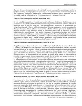 DIAGNÓSTICO INTEGRAL




algarrobo (Prosopis laevigata, Prosopis ferox), Sirado (Acacia macracantha), asociados con árboles de
tipa (Tipuana tipu), Guaranguay (Tecoma garrocha). En los lugares más secos se encuentran especies de
Soto (Schinopsis haenkeana), Kacha kacha (Aspidosperma quebracho blanco), asociados con una
variedad de cactáceas (Claistocactus sp, Cereus tacaquiresnsis) y carauatas (Puya sp.).

Matorral caducifolio espinoso montano (Unidad 53: 3B5c)

En esta unidad de vegetación se evidencia una fuerte la influencia climática del Río Pilcomayo, en un
paisaje mucho más abierto y también sometida a un mayor grado de intervención antrópico. Ubicada en
el extremo sur y sur este del Municipio. Cubre las pendientes y piedemontes de serranía baja, con
topografía accidentada y fuertes quiebres de pendiente. Dominan las especies arbustivas de algarrobo
(Prosopis laevigata), Sirado (Acacia macracantha) y Tankar (Dunalia spinosa), en piedemontes y
pendiente inferior. En las pendientes medias se encuentran asociaciones de matorrales y árboles
caducifolios tales como Chacatea, Thola hembra, Guaranguay (Tecoma garrocha), Cruz cruz (Colletia
spinosissima). Entre los árboles se cuentra el Soto (Schinopsis haenkeana), Kacha kacha (Aspidosperma
quebracho blanco) y algunos árboles de Jacarandá (Jacaranda mimosifolia) localizados en torno a las
comunidades de Puente Sucre y Tambo Akachila. Finalmente, frecuentemente se observan cactáceas
(Claistocactus sp., Cereus sp.), carahutas pequeñas (Puya atacamensis).

Matorral xeromórfico semidecíduo montano (Unidad 56: 3C3c)

Geográficamente se ubica en el sector norte del Municipio de Yotala. En el entorno de los ríos
Cachimayo y el Quirpinchaca. En esta unidad se evidencia una fuerte intervención antrópica, afectando
significativamente a la cobertura vegetal; predomina una sucesión secundaria mayoritariamente de
carácter xeromórfico. La cobertura original de lo que alguna vez fuera un bosque ralo de Tipa (Tipuana
tipu), Soto (Schinopsis haenkeana), Tarco (Jacaranda mimosifolia), Kacha kacha (Aspidosperma
quebracho blanco), ha quedado reducido a la presencia de algunos pocos árboles, en pleno proceso de
extinción y prácticamente ninguna regeneración natural. En tal sentido será urgente recuperar el
germoplasma de estas especies nativas, para su posterior repoblamiento.
En cuanto a las especies predominantes en la sucesión secundaria, aparecen como las más frecuentes los
algarrobales formando matorrales de estructura media (Prosopis feroz, Prosopis laevigata), asociado con
siradales (Acacia macracantha), con mayor frecuencia en las parcelas agrícolas abandonadas, donde son
pioneras estas especies. Otras especies presentes en esta unidad son: Ñucchu (Viguiera lanceolata),
Salancachi (Hyptis tafallae), en las pendientes y cimas está el grupo de los tholares (Baccharis
dracunculifolia, Eupatorium buniifoluim), asociado con Chacatea (Dodonaea viscosa), Tolka tolka
(Colletia spinosissima) y la Tholilla (Baccharis incarum), hojas más pequeñas y muy utilizada para la
elaboración de lejía. En pequeñas proporciones se encuentra el Tarco (Jacarandá mimosifolia) y algunas
Cactáceas (Cereus tacaquirensis), Tuna (Opuntia sp.), Carahutas pequeñas (Puya atacamensis).

Herbáceo graminoide baja sinusia arbórea montano (Unidad 58: 5F8c)

Forma parte de las cimas de serranías bajas y cimas de colinas, predomina el carácter herbáceo de la
cobertura vegetal, asociado con matorrales y árboles emergentes reducidos a las quebradas e interflujos
con cierta humedad que permita su desarrollo. En este tipo de vegetación predominan las especies
graminosas amacolladas, donde la más frecuente es festuca (Festuca dolichophylla), ichu (Stipa ichu), en
menor proporción Ichu (Stipa pseudoichu) y la Grama (Cynodon dactilon) en parcelas abandonadas
donde en una sucesión secundaria el gramal asociado a matorrales leñosos de carácter espinoso. Este
tipo de cobertura se complementa con especies cespitosas de porte bajo (< a 0,5 m.) como (Nasella spp.)
y pasto molino (Choris halóphila). Es frecuente encontrar en el estrato arbustivo, a grupos de (Baccharis
dracunculifolia, Eupatorium buniifoluim, Baccharis incarum), (Dodonaea viscosa), y (Colletia
spinosissima). Todas sometidas a una fuerte presión, donde el uso predominante es el pastoreo extensivo
                                                         PLAN MUNICIPAL DE ORDENAMIENTO TERRITORIAL   30
 