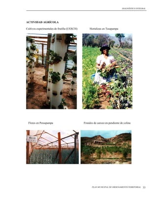DIAGNÓSTICO INTEGRAL




ACTIVIDAD AGRÍCOLA

Cultivos experimentales de frutilla (USXCH)        Hortalizas en Tasapampa




 Flores en Peraspampa                         Frutales de carozo en pendiente de colina




                                                     PLAN MUNICIPAL DE ORDENAMIENTO TERRITORIAL   33
 