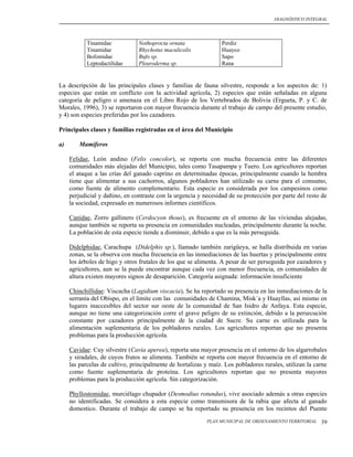 DIAGNÓSTICO INTEGRAL




            Tinamidae           Nothoprocta ornata               Perdiz
            Tinamidae           Rhychotus maculicolis            Huayco
            Bofomidae           Bufo sp.                         Sapo
            Leptodactilidae     Pleuroderma sp.                  Rana


La descripción de las principales clases y familias de fauna silvestre, responde a los aspectos de: 1)
especies que están en conflicto con la actividad agrícola, 2) especies que están señaladas en alguna
categoría de peligro o amenaza en el Libro Rojo de los Vertebrados de Bolivia (Ergueta, P. y C. de
Morales, 1996), 3) se reportaron con mayor frecuencia durante el trabajo de campo del presente estudio,
y 4) son especies preferidas por los cazadores.

Principales clases y familias registradas en el área del Municipio

a)       Mamíferos

     Felidae, León andino (Felis concolor), se reporta con mucha frecuencia entre las diferentes
     comunidades más alejadas del Municipio, tales como Tasapampa y Tuero. Los agricultores reportan
     el ataque a las crías del ganado caprino en determinadas épocas, principalmente cuando la hembra
     tiene que alimentar a sus cachorros, algunos pobladores han utilizado su carne para el consumo,
     como fuente de alimento complementario. Esta especie es considerada por los campesinos como
     perjudicial y dañino, en contraste con la urgencia y necesidad de su protección por parte del resto de
     la sociedad, expresado en numerosos informes científicos.

     Canidae, Zorro gallinero (Cerdocyon thous), es frecuente en el entorno de las viviendas alejadas,
     aunque también se reporta su presencia en comunidades nucleadas, principalmente durante la noche.
     La población de esta especie tiende a disminuir, debido a que es la más perseguida.

     Didelphidae, Carachupa (Didelphis sp.), llamado también zarigüeya, se halla distribuida en varias
     zonas, se la observa con mucha frecuencia en las inmediaciones de las huertas y principalmente entre
     los árboles de higo y otros frutales de los que se alimenta. A pesar de ser perseguida por cazadores y
     agricultores, aun se la puede encontrar aunque cada vez con menor frecuencia, en comunidades de
     altura existen mayores signos de desaparición. Categoría asignada: información insuficiente

     Chinchillidae: Viscacha (Lagidium viscacia), Se ha reportado su presencia en las inmediaciones de la
     serranía del Obispo, en el limite con las comunidades de Chamina, Misk´a y Huayllas, así mismo en
     lugares inaccesibles del sector sur oeste de la comunidad de San Isidro de Anfaya. Esta especie,
     aunque no tiene una categorización corre el grave peligro de su extinción, debido a la persecución
     constante por cazadores principalmente de la ciudad de Sucre. Su carne es utilizada para la
     alimentación suplementaria de los pobladores rurales. Los agricultores reportan que no presenta
     problemas para la producción agrícola.

     Cavidae: Cuy silvestre (Cavia aperea), reporta una mayor presencia en el entorno de los algarrobales
     y siradales, de cuyos frutos se alimenta. También se reporta con mayor frecuencia en el entorno de
     las parcelas de cultivo, principalmente de hortalizas y maíz. Los pobladores rurales, utilizan la carne
     como fuente suplementaria de proteína. Los agricultores reportan que no presenta mayores
     problemas para la producción agrícola. Sin categorización.

     Phyllostomidae, murciélago chupador (Desmodius rotundus), vive asociado además a otras especies
     no identificadas. Se considera a esta especie como transmisora de la rabia que afecta al ganado
     domestico. Durante el trabajo de campo se ha reportado su presencia en los recintos del Puente
                                                            PLAN MUNICIPAL DE ORDENAMIENTO TERRITORIAL   39
 