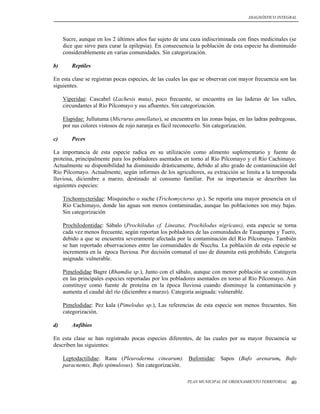 DIAGNÓSTICO INTEGRAL




     Sucre, aunque en los 2 últimos años fue sujeto de una caza indiscriminada con fines medicinales (se
     dice que sirve para curar la epilepsia). En consecuencia la población de esta especie ha disminuido
     considerablemente en varias comunidades. Sin categorización.

b)      Reptiles

En esta clase se registran pocas especies, de las cuales las que se observan con mayor frecuencia son las
siguientes.

     Viperidae: Cascabel (Lachesis muta), poco frecuente, se encuentra en las laderas de los valles,
     circundantes al Río Pilcomayo y sus afluentes. Sin categorización.

     Elapidae: Jullutuma (Micrurus annellatus), se encuentra en las zonas bajas, en las ladras pedregosas,
     por sus colores vistosos de rojo naranja es fácil reconocerlo. Sin categorización.

c)      Peces

La importancia de esta especie radica en su utilización como alimento suplementario y fuente de
proteína, principalmente para los pobladores asentados en torno al Río Pilcomayo y el Río Cachimayo.
Actualmente su disponibilidad ha disminuido drásticamente, debido al alto grado de contaminación del
Río Pilcomayo. Actualmente, según informes de los agricultores, su extracción se limita a la temporada
lluviosa, diciembre a marzo, destinado al consumo familiar. Por su importancia se describen las
siguientes especies:

     Trichomycteridae: Misquincho o suche (Trichomycterus sp.). Se reporta una mayor presencia en el
     Río Cachimayo, donde las aguas son menos contaminadas, aunque las poblaciones son muy bajas.
     Sin categorización

     Prochilodontidae: Sábalo (Prochilodus cf. Lineatus, Prochilodus nigricans), esta especie se torna
     cada vez menos frecuente, según reportan los pobladores de las comunidades de Tasapampa y Tuero,
     debido a que se encuentra severamente afectada por la contaminación del Río Pilcomayo. También
     se han reportado observaciones entre las comunidades de Ñucchu. La población de esta especie se
     incrementa en la época lluviosa. Por decisión comunal el uso de dinamita está prohibido. Categoría
     asignada: vulnerable.

     Pimelodidae Bagre (Rhamdia sp.), Junto con el sábalo, aunque con menor población se constituyen
     en las principales especies reportadas por los pobladores asentados en torno al Río Pilcomayo. Aún
     constituye como fuente de proteína en la época lluviosa cuando disminuye la contaminación y
     aumenta el caudal del río (diciembre a marzo). Categoría asignada: vulnerable.

     Pimelodidae: Pez kala (Pimelodus sp.), Las referencias de esta especie son menos frecuentes. Sin
     categorización.

d)      Anfibios

En esta clase se han registrado pocas especies diferentes, de las cuales por su mayor frecuencia se
describen las siguientes:

     Leptodactilidae: Rana (Pleuroderma cinearum). Bufomidae: Sapos (Bufo arenarum, Bufo
     paracnemis, Bufo spimulosus). Sin categorización.

                                                          PLAN MUNICIPAL DE ORDENAMIENTO TERRITORIAL   40
 