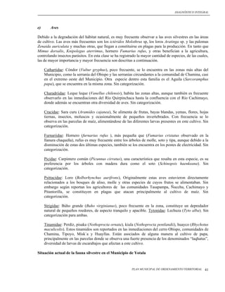 DIAGNÓSTICO INTEGRAL




e)      Aves

Debido a la degradación del hábitat natural, es muy frecuente observar a las aves silvestres en las áreas
de cultivo. Las aves más frecuentes son los ictéridos Molothrus sp, los loros Aratinga sp. y las palomas
Zenaida auriculata y muchas otras, que llegan a constituirse en plagas para la producción. En tanto que
Mimus dorsalis, Knipolegus aterrimus, hornero Fumarius rufus, y otras benefician a la agricultura,
controlando insectos parásitos. En esta clase se ha registrado la mayor cantidad de especies, de las cuales,
las de mayor importancia y mayor frecuencia son descritas a continuación.

     Cathartidae: Cóndor (Vultur gryphus), poco frecuente, se lo encuentra en las zonas más altas del
     Municipio, como la serranía del Obispo y las serranías circundantes a la comunidad de Chamina, casi
     en el extremo oeste del Municipio. Otra especie dentro esta familia es el Aguila (Sarcoramphus
     papa), que se encuentra en la misma zona. Sin categorización.

     Charadriidae: Leque leque (Vanellus chilensis), habita las zonas altas, aunque también es frecuente
     observarlo en las inmediaciones del Río Quirpinchaca hasta la confluencia con el Río Cachimayo,
     donde además se encuentran otra diversidad de aves. Sin categorización.

     Cracidae: Sara curu (Aramides cajanea), Se alimenta de frutas, bayas blandas, yemas, flores, hojas
     tiernas, insectos, moluscos y ocasionalmente de pequeños invertebrados. Con frecuencia se lo
     observa en las parcelas de maíz, alimentándose de las diferentes larvas presentes en este cultivo. Sin
     categorización.

     Furnariidae: Hornero (furnarius rufus ), más pequeña que (Fumarius cristatus observado en la
     llanura chaqueña), rufus es muy frecuente entre los árboles de molle, soto y tipa, aunque debido a la
     disminución de estas dos últimas especies, también se los encuentra en los postes de electricidad. Sin
     categorización.

     Picidae: Carpintero común (Picunnus cirratus), una característica que resalta en esta especie, es su
     preferencia por los árboles con madera dura como el soto (Schinopsis haenkeana). Sin
     categorización.

     Psittacidae: Loro (Bolborhynchus aurifrons), Originalmente estas aves estuvieron directamente
     relacionados a los bosques de aliso, molle y otras especies de cuyos frutos se alimentaban. Sin
     embargo según reportan los agricultores de las comunidades Tasapampa, Ñucchu, Cachimayo y
     Pitantorilla, se constituyen en plagas que atacan principalmente al cultivo de maíz. Sin
     categorización.

     Strigidae: Búho grande (Buho virginianus), poco frecuente en la zona, constituye un depredador
     natural de pequeños roedores, de aspecto tranquilo y apacible. Tytonidae: Lechuza (Tyto alba). Sin
     categorización para ambas.

     Tinamidae: Perdíz, pisaka (Nothoprocta ornata), kiula (Nothoprocta pentlandii), huayco (Rhychotus
     maculicolis). Estos tinamidos son reportados en las inmediaciones del cerro Obispo, comunidades de
     Chamina, Tipoyo, Misk´a y Huayllas. Están asociados de alguna manera al cultivo de papa,
     principalmente en las parcelas donde se observa una fuerte presencia de los denominados “laqhatus”,
     diversidad de larvas de escarabajos que afectan a este cultivo.

Situación actual de la fauna silvestre en el Municipio de Yotala


                                                           PLAN MUNICIPAL DE ORDENAMIENTO TERRITORIAL    41
 