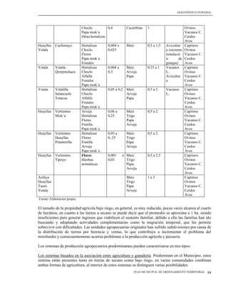 DIAGNÓSTICO INTEGRAL




                              Choclo           0,4        Cucúrbitas   1                       Ovinos
                              Papa misk´a                                                      Vacunos C.
                              Otras hortalizas                                                 Cerdos
                                                                                               Aves
Huayllas   Cachimayo          Hortalizas      0,004 a     Maíz         0,5 a 1,5   Avicultur Caprinos
Yotala                        Choclo          0,025                                a (reciente Ovinos
                              Flores                                               instalació Vacunos C.
                              Papa misk´a                                          n        de Cerdos
                              Frutales                                             granjas)    Aves
Yotala     Yotala-            Hortalizas      0,004 a     Maíz         0.25 a 1    Vacunos Caprinos
           Quirpinchaca       Choclo          0,3         Arveja                   L.          Ovinos
                              Alfalfa                     Papa                     Avicultur Vacunos C.
                              Frutales                                             a           Cerdos
                              Papa misk´a                                                      Aves
Yotala     Yotalilla          Hortalizas      0,05 a 0,2 Maíz          0,5 a 2     Vacunos Caprinos
           Salancachi         Choclo                     Arveja                    L.          Ovinos
           Totacoa            Alfalfa                    Papa                                  Vacunos C.
                              Frutales                                                         Cerdos
                              Papa misk´a                                                      Aves
Huayllas   Vertientes         Arveja          0,06 a      Maíz         0,5 a 2                 Caprinos
           Misk´a             Hortalizas      0,25        Trigo                                Ovinos
                              Flores                      Papa                                 Vacunos C.
                              Frutilla                    Arveja                               Cerdos
                              Papa misk´a                                                      Aves
Huayllas   Vertientes         Hortalizas      0,03 a      Maíz         0,5 a 2                 Caprinos
           Huayllas           Flores          0, 25       Trigo                                Ovinos
           Pitantorilla       Frutilla                    Papa                                 Vacunos C.
                              Arveja                      Arveja                               Cerdos
                              Papa misk´a                                                      Aves
Huayllas   Vertientes         Flores          0,001     a Maíz         0,5 a 2,5               Caprinos
           Tipoyo             Hierbas         0,03        Trigo                                Ovinos
                              aromáticas                  Papa                                 Vacunos C.
                                                          Arveja                               Cerdos
                                                                                               Aves
Anfaya                                                    Maíz         1a3                     Caprinos
Huayllas                                                  Trigo                                Ovinos
Tuero                                                     Papa                                 Vacunos C.
Yotala                                                    Arveja                               Cerdos
                                                                                               Aves
Fuente: Elaboración propia.

El tamaño de la propiedad agrícola bajo riego, en general, es muy reducido, pocas veces alcanza al cuarto
de hectárea; en cuanto a las tierras a secano se puede decir que el promedio se aproxima a 1 ha. siendo
insuficientes para generar ingresos que viabilicen el sustento familiar, debido a ello las familias han ido
buscando y adoptando actividades complementarias como la migración temporal, que les permite
sobrevivir con dificultades. Las unidades agropecuarias originales han sufrido subdivisiones por causa de
la distribución de tierras por herencia y ventas, lo que contribuye a incrementar el problema del
minifundio y consecuentemente acarrea problemas a la producción agrícola y pecuaria.

Los sistemas de producción agropecuarios predominantes pueden caracterizarse en tres tipos:

Los sistemas basados en la asociación entre agricultura y ganadería. Predominan en el Municipio, estos
sistema están presentes tanto en tierras de secano como bajo riego, en varias comunidades combinan
ambas formas de agricultura, al interior de estos sistemas se distinguen varias posibilidades:
                                                              PLAN MUNICIPAL DE ORDENAMIENTO TERRITORIAL    84
 