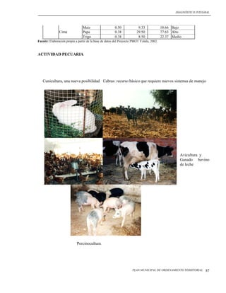 DIAGNÓSTICO INTEGRAL




                                Maíz                    0.50            9.33              18.66 Bajo
               Cima             Papa                    0.38           29.50              77.63 Alto
                                Trigo                   0.38            8.50              22.37 Medio
Fuente: Elaboración propia a partir de la base de datos del Proyecto PMOT Yotala, 2002.



ACTIVIDAD PECUARIA




   Cunicultura, una nueva posibilidad Cabras: recurso básico que requiere nuevos sistemas de manejo




                                                                                                    Avicultura y
                                                                                                    Ganado bovino
                                                                                                    de leche




                            Porcinocultura




                                                                    PLAN MUNICIPAL DE ORDENAMIENTO TERRITORIAL     87
 