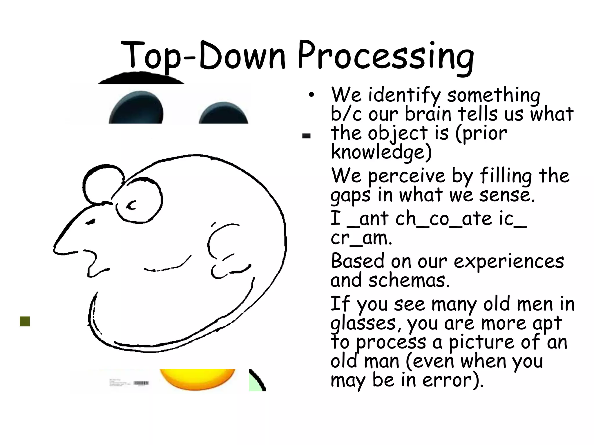 Top-Down Processing
• We identify something
b/c our brain tells us what
the object is (prior
knowledge)
• We perceive by filling the
gaps in what we sense.
• I _ant ch_co_ate ic_
cr_am.
• Based on our experiences
and schemas.
• If you see many old men in
glasses, you are more apt
to process a picture of an
old man (even when you
may be in error).
 