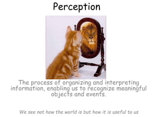 Perception
The process of organizing and interpreting
information, enabling us to recognize meaningful
objects and events.
We see not how the world is but how it is useful to us
 