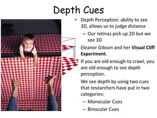 Depth Cues
• Depth Perception: ability to see
3D, allows us to judge distance
– Our retinas pick up 2D but we
see 3D
• Eleanor Gibson and her Visual Cliff
Experiment.
• If you are old enough to crawl, you
are old enough to see depth
perception.
• We see depth by using two cues
that researchers have put in two
categories:
– Monocular Cues
– Binocular Cues
 